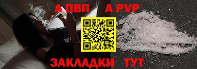 стаф Кингисепп