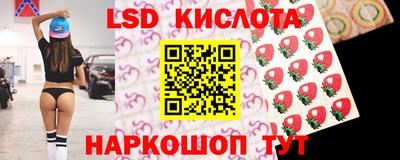 стаф Кингисепп