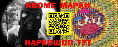 стаф Кингисепп