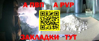 стаф Кингисепп