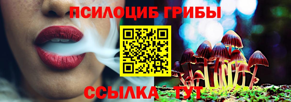Псилоцибиновые грибы мицелий  Вход с VPN  Барабинск 